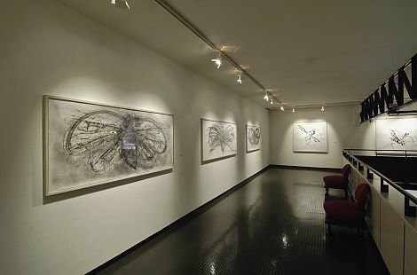 <h1>Espace d'Art Contemporain André Malraux, Colmar</h1><p>Arbeiten aus dem Werkkomplex Zeichnungen.<br />
Von links: fliegen p35–p37, 7 und 2</p>