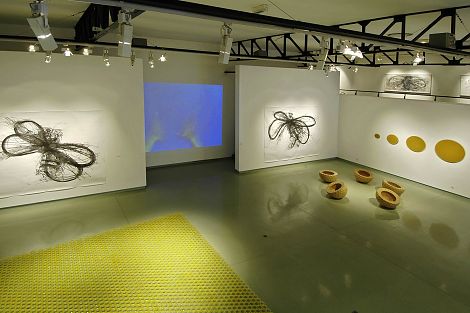 <h1>Espace d'Art Contemporain André Malraux, Colmar</h1><p>Boden: Wachsfacetten und Soziales Prinzip 1<br />
Wand von links: fliegen p28, Honighände-Videoloop, fliegen p29, Bientransparent 5</p>