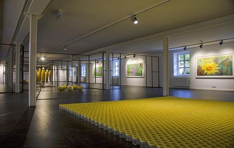 <h1>Museum Lorsch</h1><p>Vordergrund: Bodeninstallation Wachsfacetten.<br />Mitte: Soziales Prinzip 2, je Form 30 x Ø 40 cm.<br />An den Wänden, von rechts: Gelbe Margerite, Storchschnabel, Vogelwicke</p>