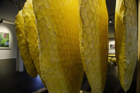 <h1>Museum Lorsch</h1><p>Das Deckenlicht durchleuchtet die leicht transparenten Wabenformen des Hängeobjekts Facetten 2</p>
