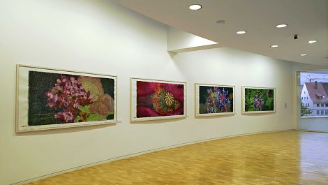 <h1>Stadthaus Ulm</h1><p>Arbeiten aus dem Werkkomplex Bienoptik im Format 117 x 230 cm.<br />
Von links: Dostblüte 2, Mohnblüte, Bunte Kronwicke, Storchschnabel</p>