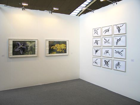 <h1>Art Karlsruhe</h1><p>Von links: Borretsch 1, Rainfarn,
fliegen 42–54</p>