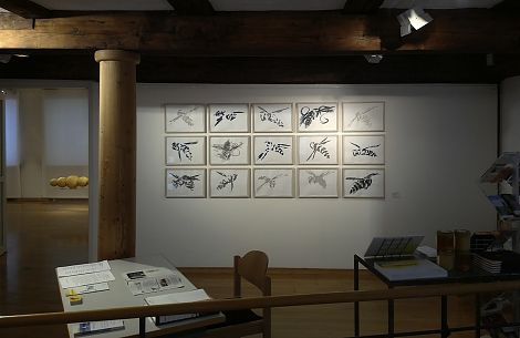 <h1>Stadtmuseum Crailsheim</h1><p>Blick auf die Wand mit Tuschezeichnungen im Eingangsbereich</p>
