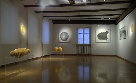 <h1>Stadtmuseum Crailsheim</h1><p>Im großen Ausstellungsraum im Erdgeschoss: Arbeiten aus dem Werkkomplex Wabenbau und aus dem Werkkomplex Bewegungsformen an den Wänden</p>