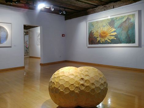 <h1>Stadtmuseum Crailsheim</h1><p>Soziales Prinzip aus dem Werkkomplex Wabenbau im spannenden Dialog mit der Gelben Margerite</p>