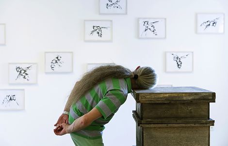 <h1>Kunstmuseum Heidenheim</h1><p>Aus den Bienenkästen ertönen leise das Tüten und Quaken der Bienenkönigin und andere Geräuschen aus dem Bienenstock, kombiniert mit der Singstimme der Künstlerin</p>