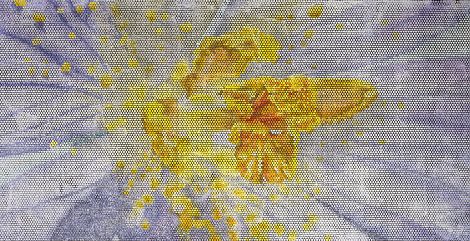 <h1>Kunstmuseum Heidenheim</h1><p>Bienoptik-Apfelblüte 2, 110 x 210 cm, Technik: Hochdruck, Kartoffeldruck
mit Tusche auf Papier
</p>